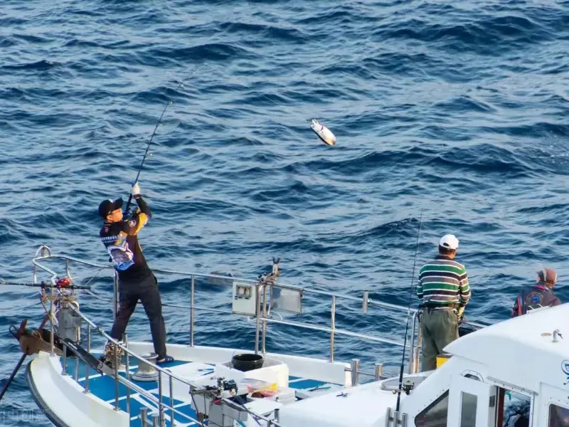 How to check the performance of wire rope rigging